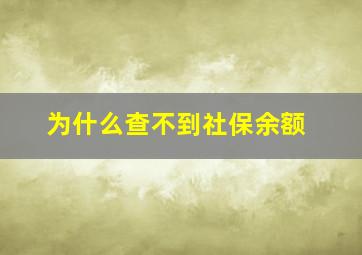 为什么查不到社保余额