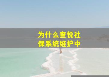 为什么查悦社保系统维护中