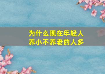 为什么现在年轻人养小不养老的人多