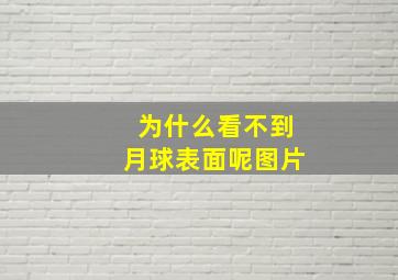 为什么看不到月球表面呢图片