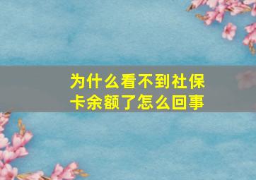 为什么看不到社保卡余额了怎么回事