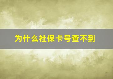 为什么社保卡号查不到