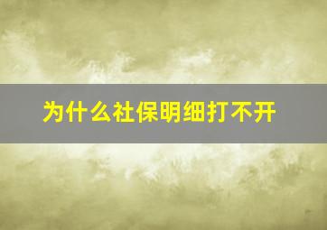 为什么社保明细打不开