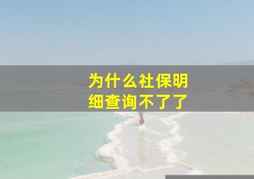 为什么社保明细查询不了了