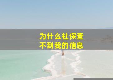 为什么社保查不到我的信息