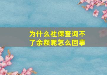 为什么社保查询不了余额呢怎么回事