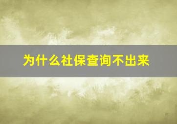 为什么社保查询不出来