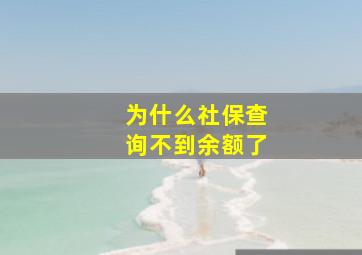 为什么社保查询不到余额了