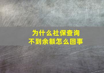 为什么社保查询不到余额怎么回事