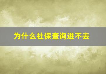 为什么社保查询进不去