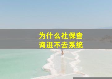 为什么社保查询进不去系统