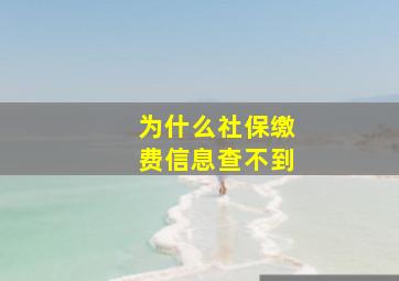 为什么社保缴费信息查不到