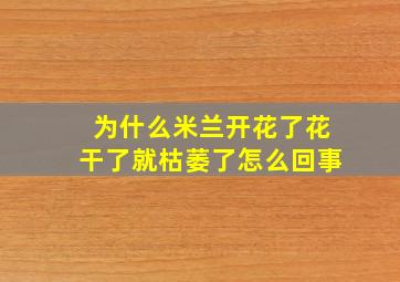 为什么米兰开花了花干了就枯萎了怎么回事