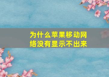 为什么苹果移动网络没有显示不出来