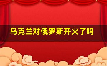 乌克兰对俄罗斯开火了吗