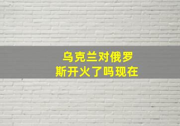 乌克兰对俄罗斯开火了吗现在