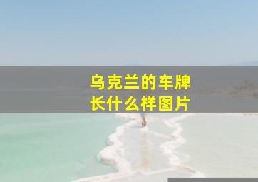 乌克兰的车牌长什么样图片