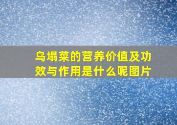 乌塌菜的营养价值及功效与作用是什么呢图片