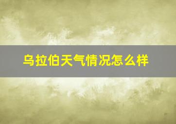 乌拉伯天气情况怎么样