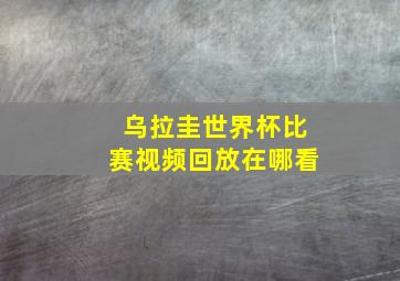 乌拉圭世界杯比赛视频回放在哪看