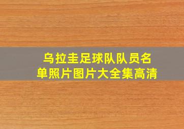 乌拉圭足球队队员名单照片图片大全集高清