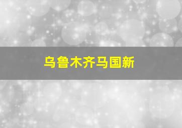 乌鲁木齐马国新