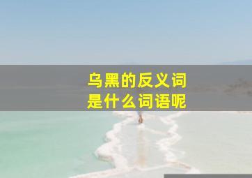 乌黑的反义词是什么词语呢