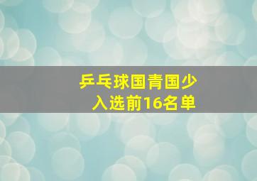 乒乓球国青国少入选前16名单