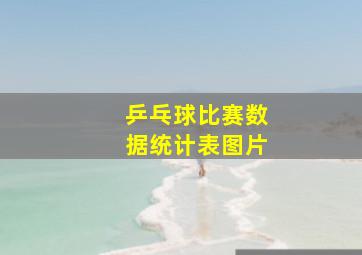 乒乓球比赛数据统计表图片