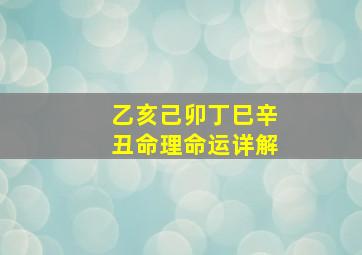 乙亥己卯丁巳辛丑命理命运详解