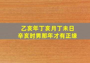 乙亥年丁亥月丁未日辛亥时男那年才有正缘