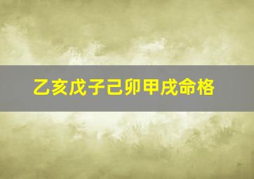 乙亥戊子己卯甲戌命格