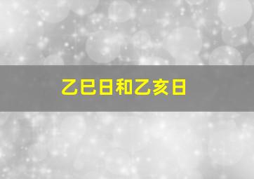 乙巳日和乙亥日