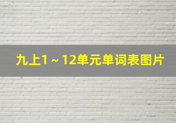 九上1～12单元单词表图片