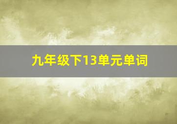 九年级下13单元单词