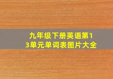 九年级下册英语第13单元单词表图片大全