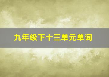 九年级下十三单元单词