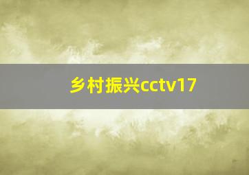 乡村振兴cctv17