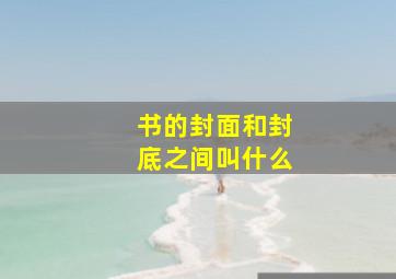 书的封面和封底之间叫什么