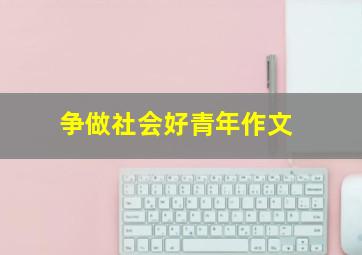 争做社会好青年作文