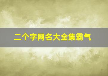 二个字网名大全集霸气