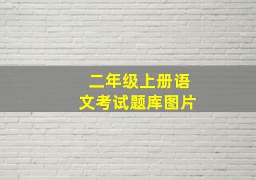 二年级上册语文考试题库图片