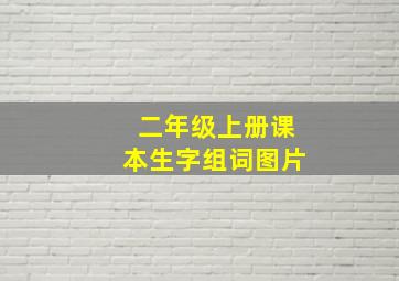 二年级上册课本生字组词图片