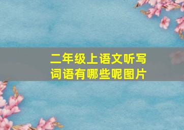 二年级上语文听写词语有哪些呢图片