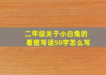 二年级关于小白兔的看图写话50字怎么写