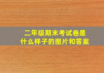 二年级期末考试卷是什么样子的图片和答案