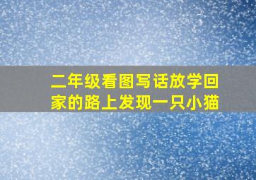 二年级看图写话放学回家的路上发现一只小猫