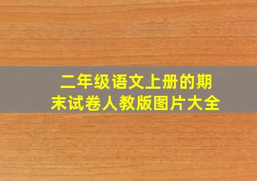 二年级语文上册的期末试卷人教版图片大全