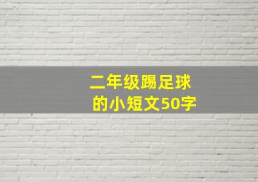 二年级踢足球的小短文50字