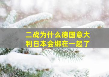 二战为什么德国意大利日本会绑在一起了